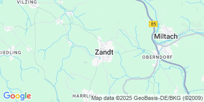 Zandt